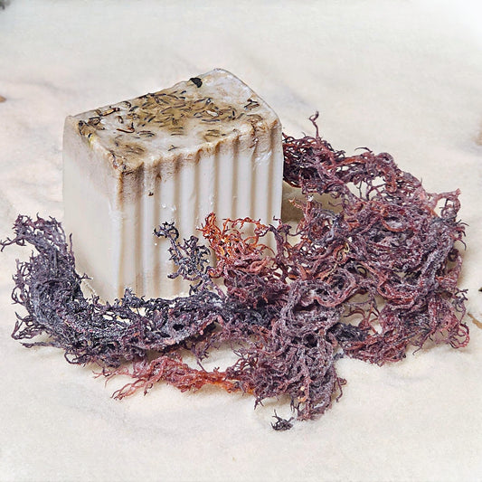 Lavender and Raw Purple Sea Moss Soap