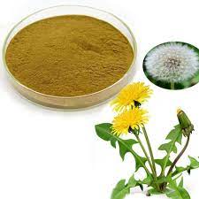 Organic Dandelion Root Powder Natural Herb