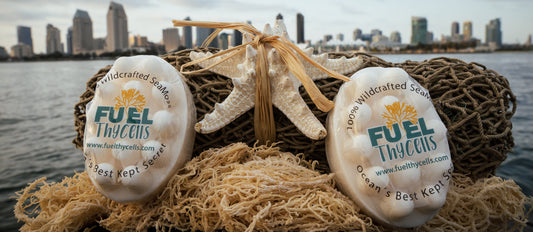 Coconut Milk SeaMoss Bar Soap