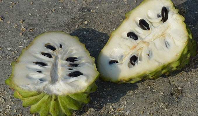 SOURSOP SEAMOSS GEL