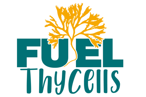 FUELTHYCELLS